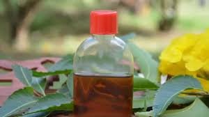 Pungam Oil